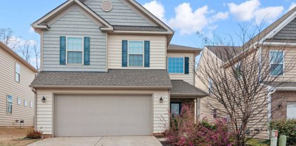 1727 Trentwood  Drive, Fort Mill