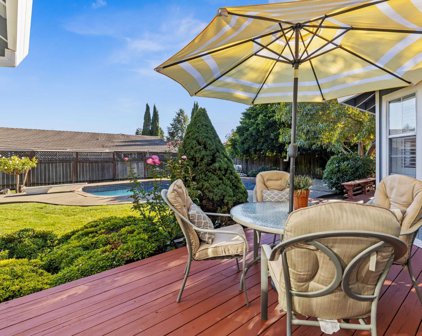 2431 Vine Hill Drive, Napa