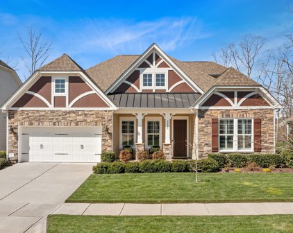 9832 Andres Duany  Drive, Huntersville