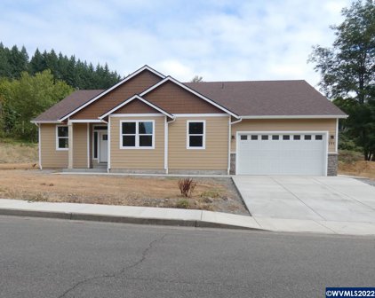 195 Santiam Pointe Lp, Mill City
