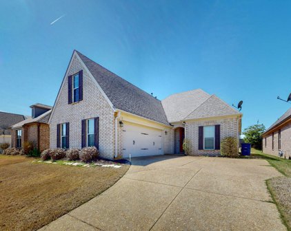 6811 Pink Warbler Lane, Olive Branch