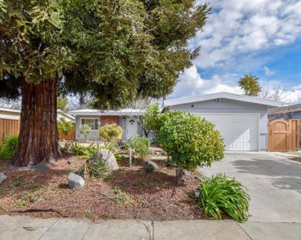 1761 Franck Avenue, Santa Clara