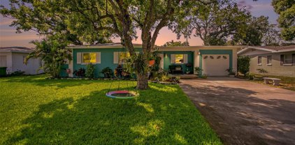 4718 W Alline Avenue, Tampa