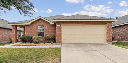 5012 Pacific Way  Drive, Frisco