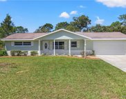 12354 S Canna Point, Floral City image