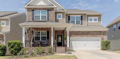 1988 Sapphire Meadow  Drive, Fort Mill