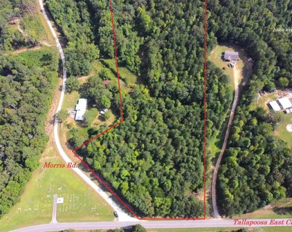 00001 Tallapoosa East Church Road, Buchanan