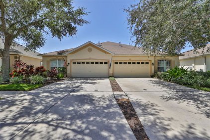 7437 Surrey Pines Drive, Apollo Beach