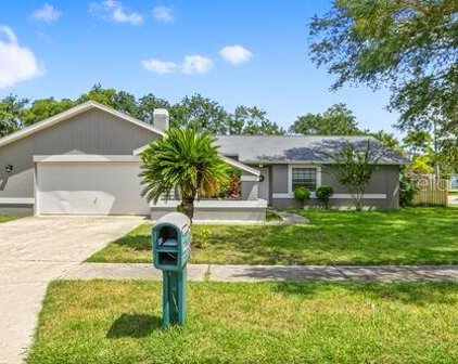 3594 Scarlet Tanager Drive, Palm Harbor