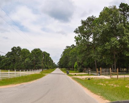 Tommy Smith Road, Conroe