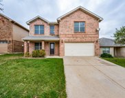 4805 Leaf Hollow  Drive, Fort Worth image