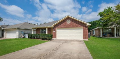 435 River Crossing Trail, Round Rock