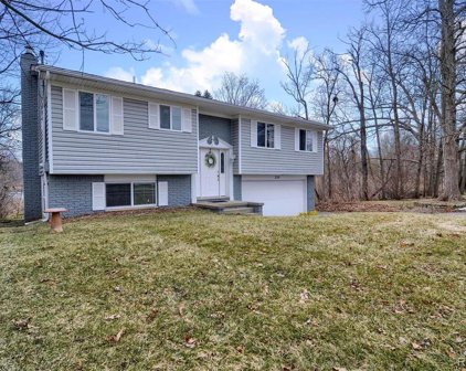250 CEDAR, Ortonville Vlg