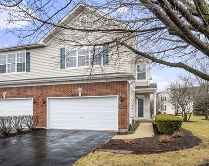 319 Grape Vine Trail, Oswego