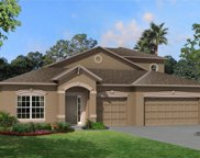 9530 Seagrass Port Pass, Wesley Chapel image