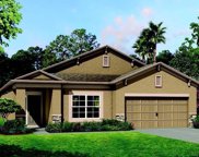 31582 Holton Court, Wesley Chapel image