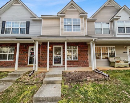 314 Wilkes Place  Drive, Fort Mill