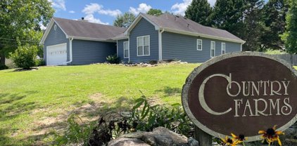 3005 Country Farms Drive, Snellville
