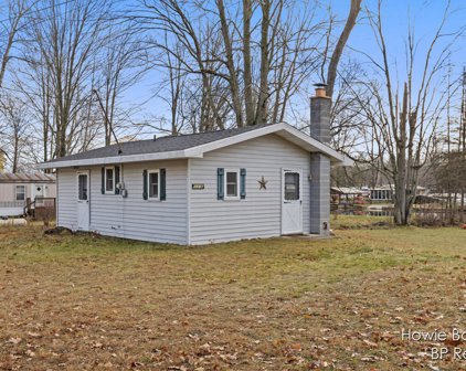 5316 Birch Haven Dr Drive, Mecosta