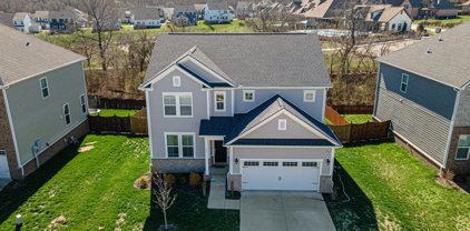 727 Tennypark Ln, Mount Juliet
