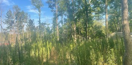 801 West County Line Road, Troup