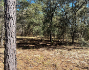 133rd Ter 34431, Dunnellon image