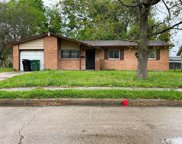 1317 Canterville Road, Houston image