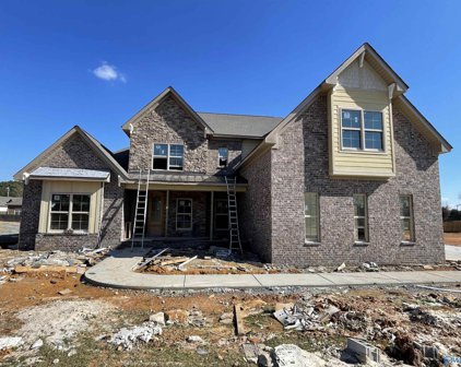 6033 Peach Pond Way, Owens Cross Roads