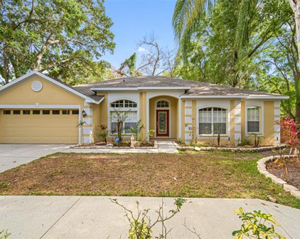 2101 Fawn Meadow Drive, Valrico