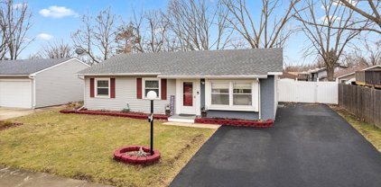 117 Larchmont Way, Bolingbrook