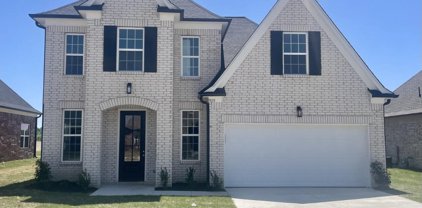 9135 S Lakeside Circle, Walls