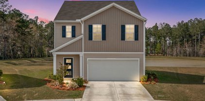 137 Blossom Wood Lane, Summerville