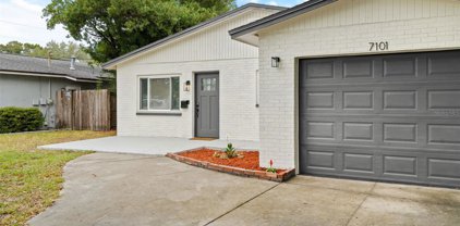 7101 37th Ave N, St Petersburg