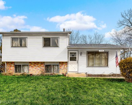 226 Riverside Drive, Bolingbrook