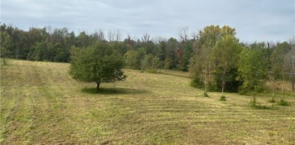 Spook Woods  Road, Conquest-052600