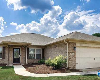 27616 Mistic Dawn, Toney