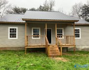 814 County Road 427, Fort Payne image