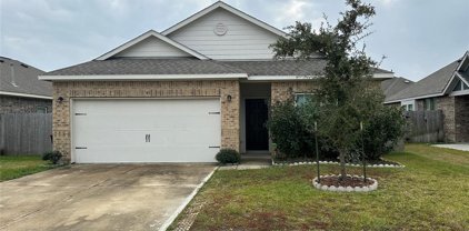 21358 Sweetbay Magnolia Drive, Porter