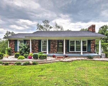 248 Wade Rd, Mt Washington