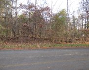 Lot 1022 Cove Ln, Baneberry image