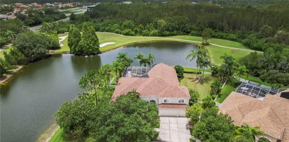 19102 Harborbridge Lane, Lutz