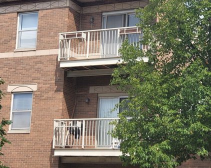 4130 S Drexel Boulevard Unit #3B, Chicago