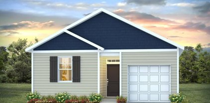 244 Coral Sunset Way, Summerville