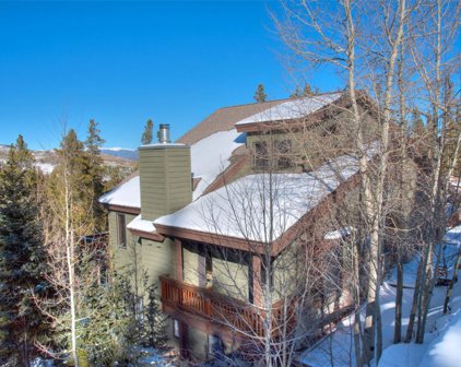 205 Protector  Place, Breckenridge
