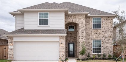 3407 Brushy Meadow Drive, Angleton