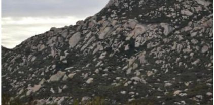 40 Wide Oak, Jamul