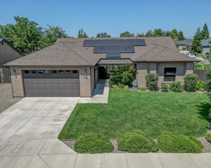 3532 Humbug Drive, Anderson
