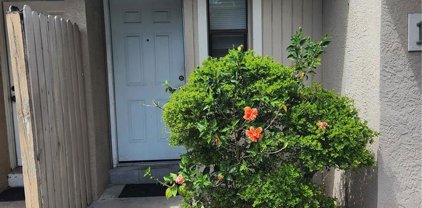 917 Otto Villa Place Unit 16, Tampa