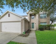 20643 Springlight Lane, Spring image