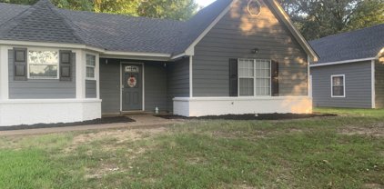 6565 River Birch Road, Walls
